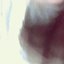 Follow