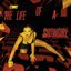 The Life of a Showgirl album artwork