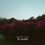 The Inevitable - Single