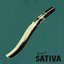 Sativa