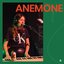 Anemone on Audiotree Live - EP