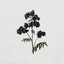 Betterman - Single