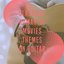 Classical Romantic Movies Themes on Guitar