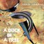 A Duck In A Tree 2012-07-21 | Men Shall Know Nothing Of This