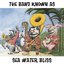 The band known as Sea Water Bliss