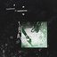 Maelstrom - Single