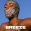 Breeze - Single