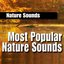 Most Popular Nature Sounds