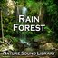 Rain Forest (Nature Sounds for Deep Sleep, Relaxation, Meditation, Spa, Sound Therapy, Studying, Healing Massage, Yoga and Chakra Balancing)