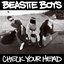 Beastie Boys - Check Your Head album artwork