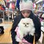 POMERANIAN