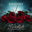 DESTINY -The Lovers-