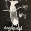 Angharod