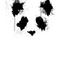 rampagingbearz 的头像