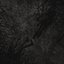 Frost - Single