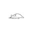 kitty