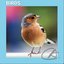 Relaxing Bird Sounds