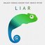 Liar (feat. Bence Peter)