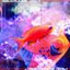 AquaPulse Vol. 1