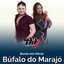 Búfalo do Marajó