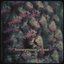 Honeymoon Phase - Single