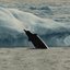Painting Whales, Part 1 - EP