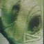 Eyes in the Intestines