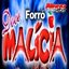 Forró Doce Malícia: Vol. 4