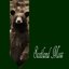 Bears [Single]