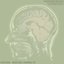 Brachial Minimal EP