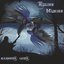 Huginn Muninn