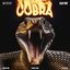 COBRA