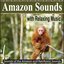 Amazon Sounds With Relaxing Music: Sounds of the Amazon and Rainforest Sounds