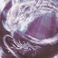 VorTeX - Single