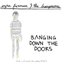 Ezra Furman & the Harpoons - Banging Down the Doors album artwork