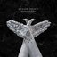 Shining (Deluxe Edition)