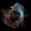 Late Night Tales presents Sasha: Scene Delete (DJ Mix)