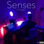 Senses