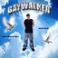 BAYWALKER