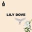 Lily Dove