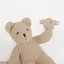 teddy bear band