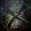 Petroglyph X and The Fractured Veil