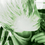 Avatar für CREASEme