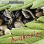 Awakening