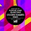 Chasing Summers (R3hab & Quintino Remix) - Single