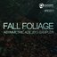 Fall Foliage - Asymmetric ADE 2013 Sampler