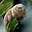 Avatar for blankhaze