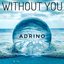 Without You