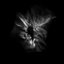Consciousness Of Undefined