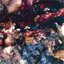 Fountains Of Blood, Cascades Of Blood